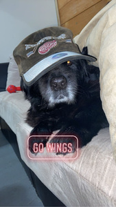 SmokeytheDanglr