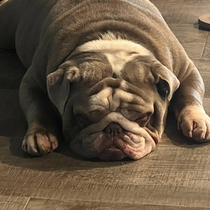 Paco0375