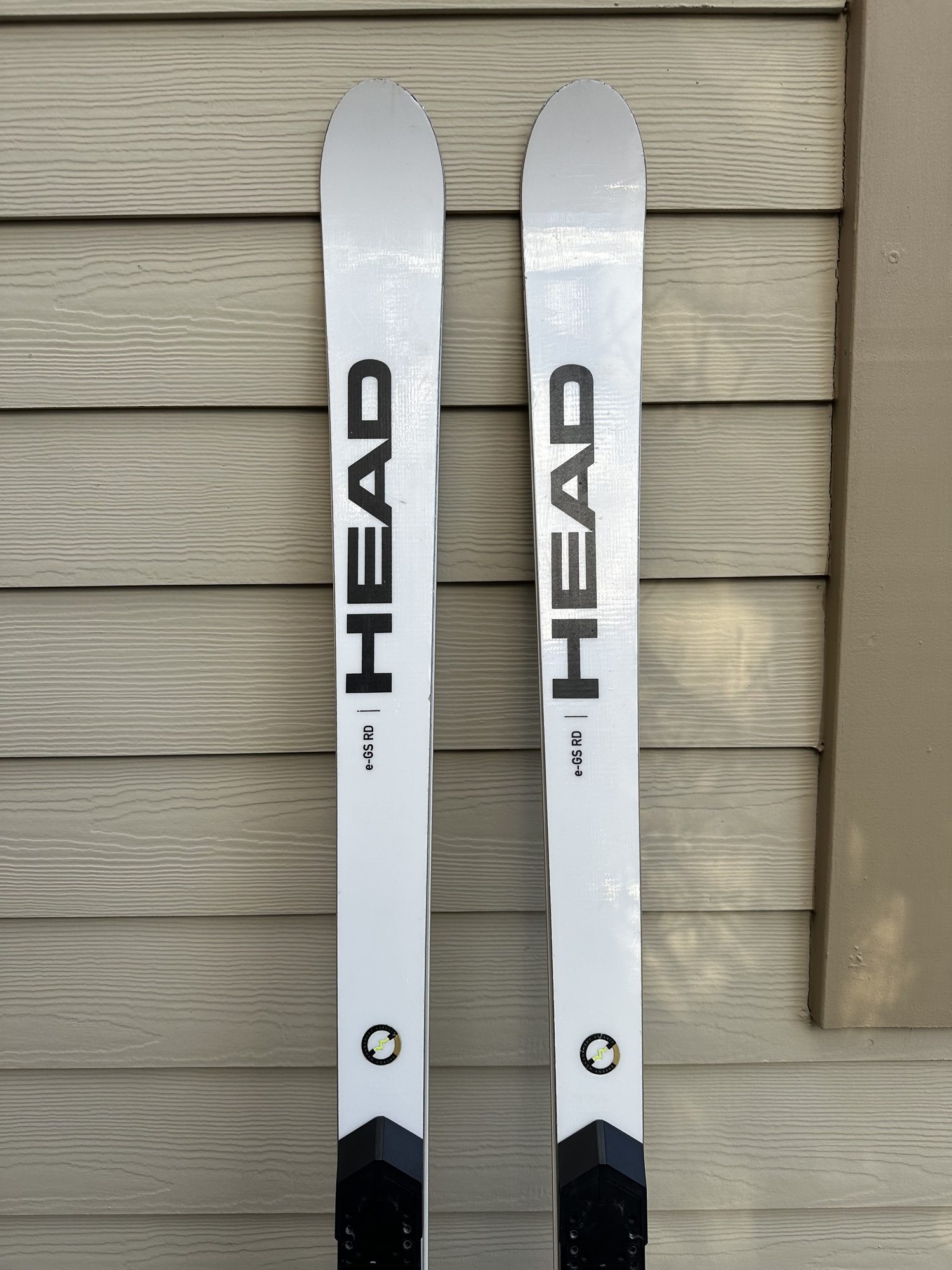 HEAD World Cup Rebels e-GS RD 186 cm Racing Skis Without Bindings