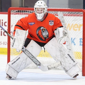 HockeyGoalie40