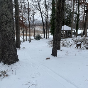 matt_1342