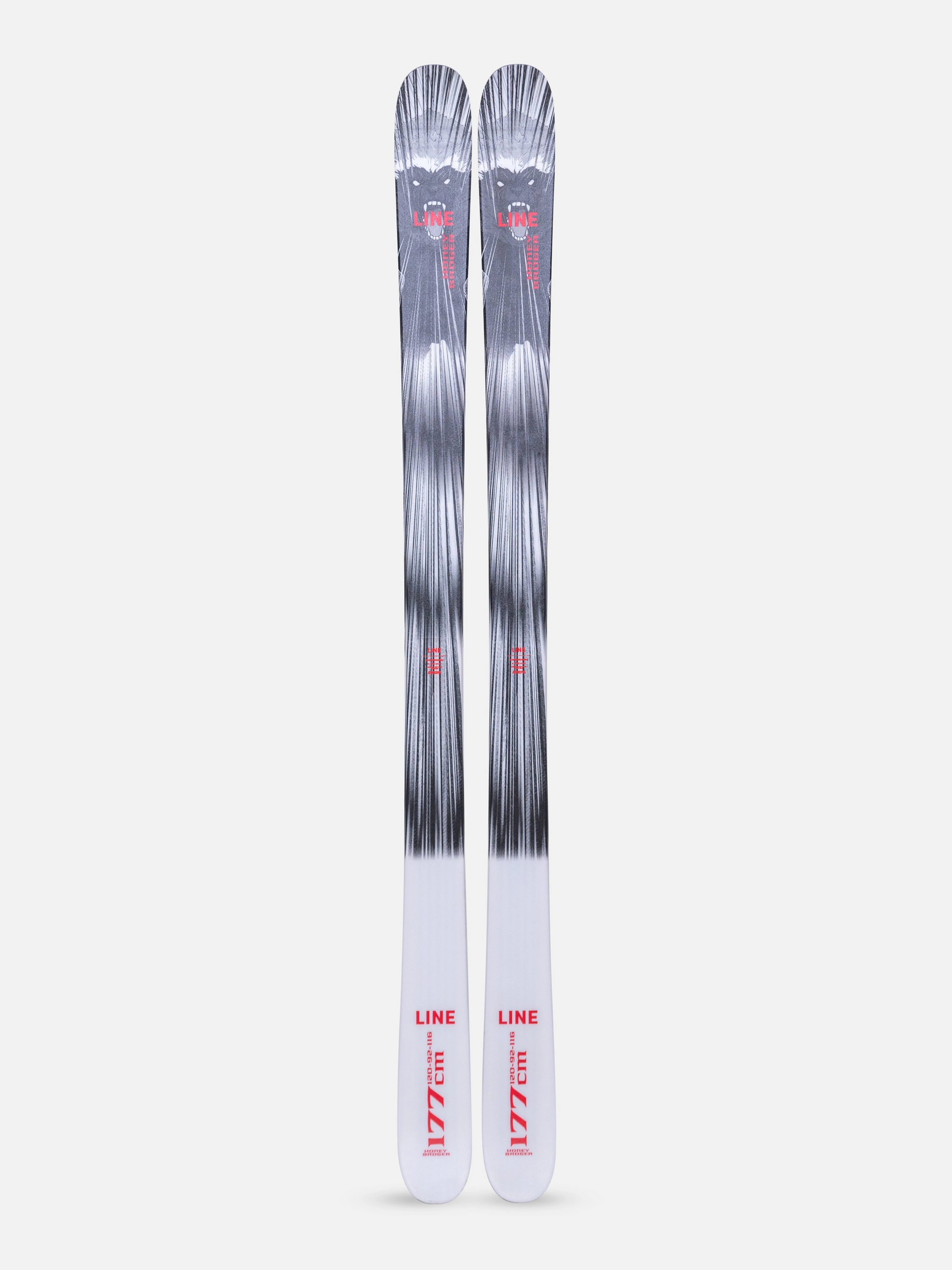 Line Tigersnake Skis | Used and Closeout