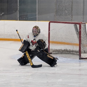 sweetgoalie31
